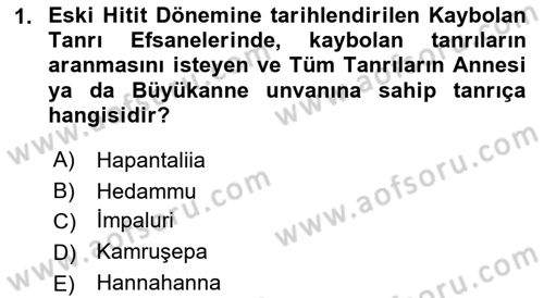 Mitoloji ve Din Dersi Ara Sınavı Deneme Sınav Soruları 1. Soru