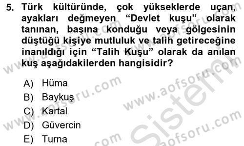 Mitoloji ve Din Dersi 2023 - 2024 Yılı Yaz Okulu Sınav Soruları 5. Soru