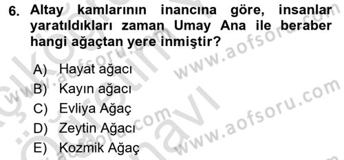 Mitoloji ve Din Dersi 2023 - 2024 Yılı Yaz Okulu Sınav Soruları 6. Soru