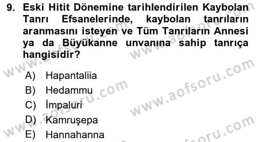 Mitoloji ve Din Dersi 2023 - 2024 Yılı Yaz Okulu Sınav Soruları 9. Soru