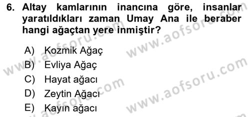 Mitoloji ve Din Dersi 2024 - 2025 Yılı (Vize) Ara Sınav Soruları 6. Soru