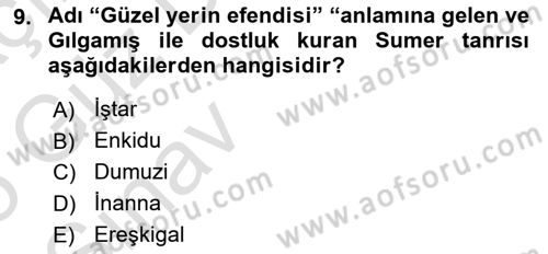 Mitoloji ve Din Dersi 2024 - 2025 Yılı (Vize) Ara Sınav Soruları 9. Soru