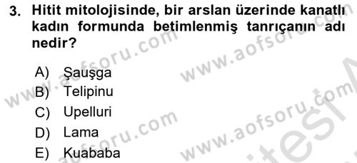 Mitoloji ve Din Dersi 2024 - 2025 Yılı (Final) Dönem Sonu Sınav Soruları 3. Soru