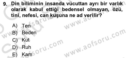Mitoloji ve Din Dersi 2024 - 2025 Yılı (Final) Dönem Sonu Sınav Soruları 9. Soru