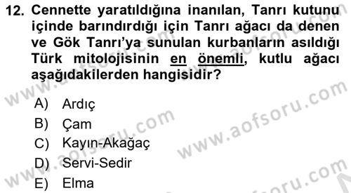 Mitoloji ve Din Dersi 2024 - 2025 Yılı Yaz Okulu Sınav Soruları 12. Soru