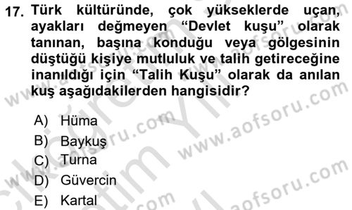 Mitoloji ve Din Dersi 2024 - 2025 Yılı Yaz Okulu Sınav Soruları 17. Soru