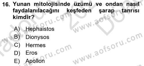 Mitoloji ve Din Dersi 2025 - 2026 Yılı (Final) Dönem Sonu Sınav Soruları 16. Soru