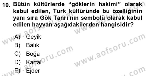 Mitoloji ve Din Dersi 2025 - 2026 Yılı Yaz Okulu Sınav Soruları 10. Soru