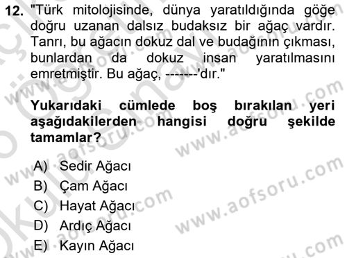Mitoloji ve Din Dersi 2025 - 2026 Yılı Yaz Okulu Sınav Soruları 12. Soru