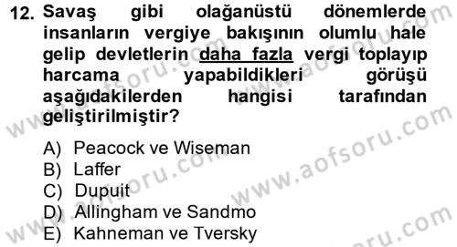 Vergi Teorisi Dersi 2012 - 2013 Yılı (Vize) Ara Sınav Soruları 12. Soru