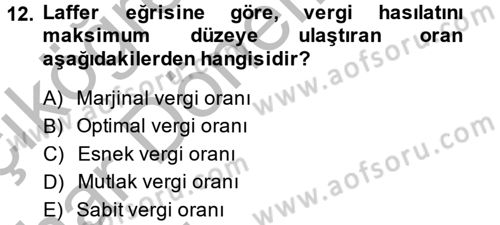 Vergi Teorisi Dersi 2013 - 2014 Yılı (Vize) Ara Sınavı 12. Soru