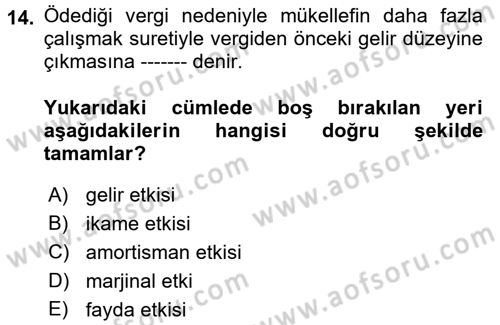 Vergi Teorisi Dersi 2018 - 2019 Yılı (Vize) Ara Sınav Soruları 14. Soru