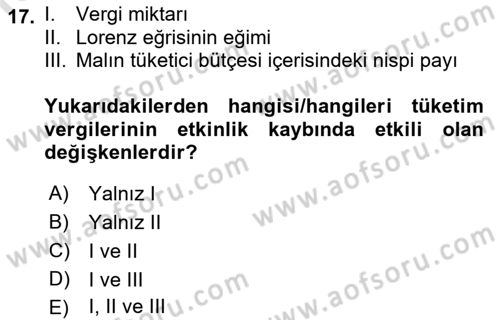 Vergi Teorisi Dersi 2022 - 2023 Yılı Yaz Okulu Sınav Soruları 17. Soru