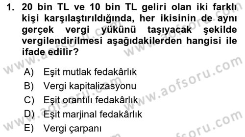 Vergi Teorisi Dersi 2024 - 2025 Yılı (Vize) Ara Sınav Soruları 1. Soru