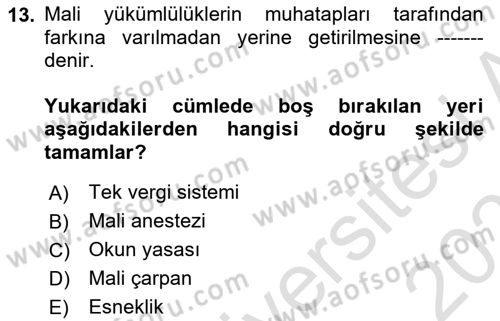 Vergi Teorisi Dersi 2024 - 2025 Yılı (Vize) Ara Sınav Soruları 13. Soru