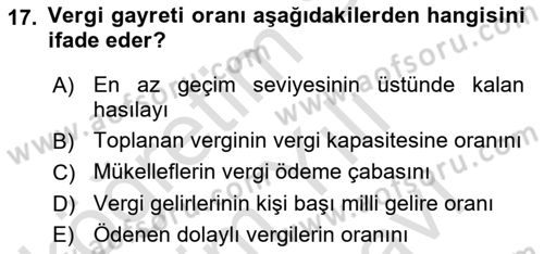 Vergi Teorisi Dersi 2024 - 2025 Yılı (Vize) Ara Sınav Soruları 17. Soru