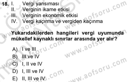 Vergi Teorisi Dersi 2024 - 2025 Yılı (Vize) Ara Sınav Soruları 18. Soru