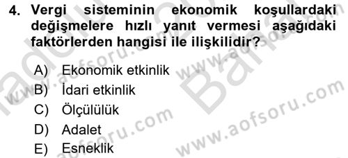 Vergi Teorisi Dersi 2024 - 2025 Yılı (Vize) Ara Sınav Soruları 4. Soru