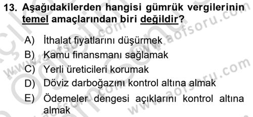 Vergi Teorisi Dersi 2024 - 2025 Yılı (Final) Dönem Sonu Sınav Soruları 13. Soru