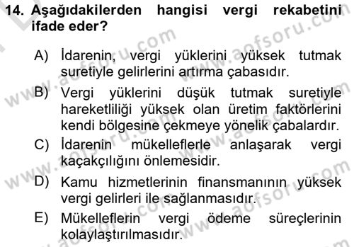 Vergi Teorisi Dersi 2024 - 2025 Yılı (Final) Dönem Sonu Sınav Soruları 14. Soru