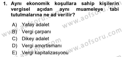 Vergi Teorisi Dersi 2024 - 2025 Yılı Yaz Okulu Sınav Soruları 1. Soru