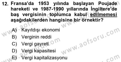 Vergi Teorisi Dersi 2024 - 2025 Yılı Yaz Okulu Sınav Soruları 12. Soru