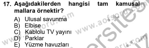 Kamu Maliyesi Dersi 2012 - 2013 Yılı (Vize) Ara Sınav Soruları 17. Soru