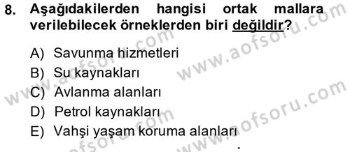 Kamu Maliyesi Dersi 2014 - 2015 Yılı (Vize) Ara Sınavı 8. Soru