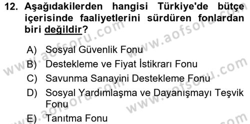 Kamu Maliyesi Dersi 2015 - 2016 Yılı (Vize) Ara Sınav Soruları 12. Soru