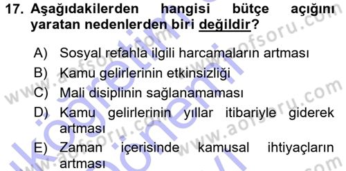 Kamu Maliyesi Dersi 2015 - 2016 Yılı (Final) Dönem Sonu Sınavı 17. Soru