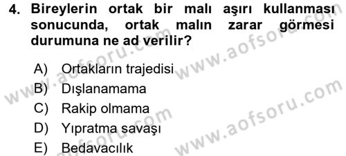 Kamu Maliyesi Dersi 2016 - 2017 Yılı (Vize) Ara Sınavı 4. Soru