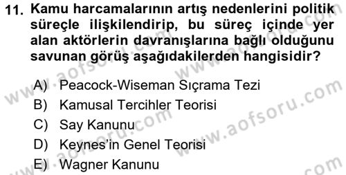 Kamu Maliyesi Dersi 2016 - 2017 Yılı (Final) Dönem Sonu Sınav Soruları 11. Soru
