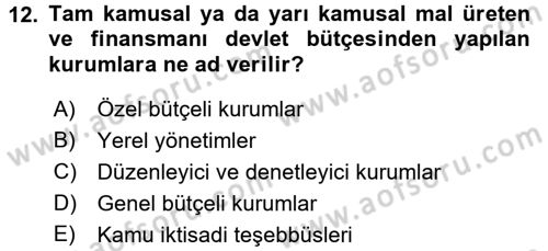 Kamu Maliyesi Dersi 2017 - 2018 Yılı (Vize) Ara Sınav Soruları 12. Soru