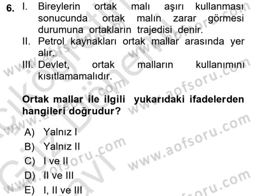 Kamu Maliyesi Dersi 2017 - 2018 Yılı (Vize) Ara Sınav Soruları 6. Soru