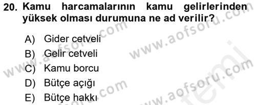 Kamu Maliyesi Dersi 2017 - 2018 Yılı (Final) Dönem Sonu Sınav Soruları 20. Soru