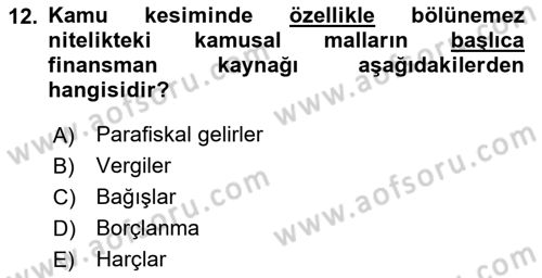 Kamu Maliyesi Dersi 2018 - 2019 Yılı 3 Ders Sınav Soruları 12. Soru