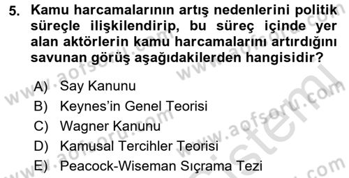 Kamu Maliyesi Dersi 2018 - 2019 Yılı 3 Ders Sınav Soruları 5. Soru