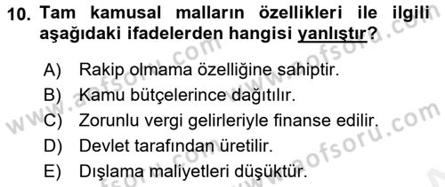 Kamu Maliyesi Dersi 2018 - 2019 Yılı (Vize) Ara Sınavı 10. Soru