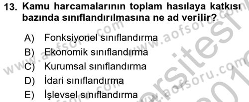Kamu Maliyesi Dersi 2018 - 2019 Yılı Yaz Okulu Sınav Soruları 13. Soru