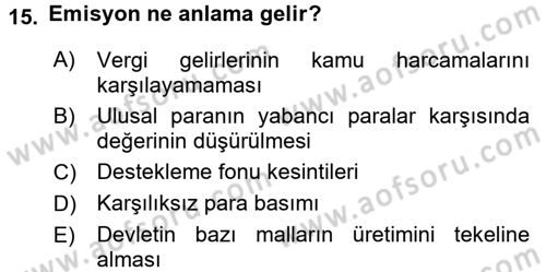 Kamu Maliyesi Dersi 2018 - 2019 Yılı Yaz Okulu Sınav Soruları 15. Soru