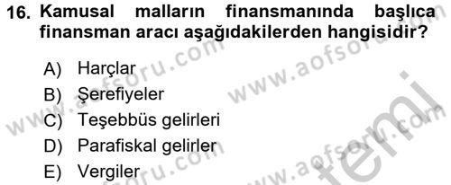 Kamu Maliyesi Dersi 2018 - 2019 Yılı Yaz Okulu Sınav Soruları 16. Soru