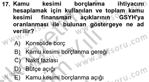 Kamu Maliyesi Dersi 2018 - 2019 Yılı Yaz Okulu Sınav Soruları 17. Soru