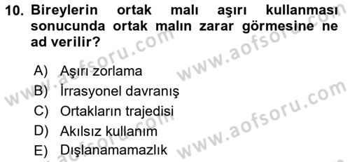 Kamu Maliyesi Dersi 2019 - 2020 Yılı (Vize) Ara Sınav Soruları 10. Soru