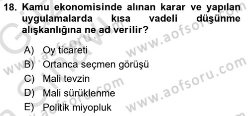 Kamu Maliyesi Dersi Ara Sınavı Deneme Sınav Soruları 18. Soru