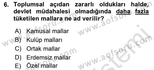 Kamu Maliyesi Dersi Ara Sınavı Deneme Sınav Soruları 6. Soru