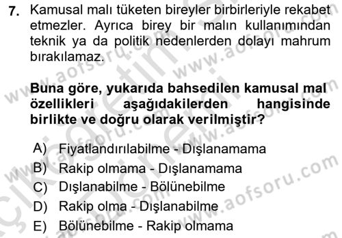 Kamu Maliyesi Dersi Ara Sınavı Deneme Sınav Soruları 7. Soru