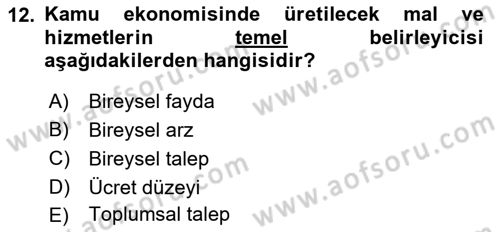 Kamu Maliyesi Dersi 2020 - 2021 Yılı Yaz Okulu Sınav Soruları 12. Soru