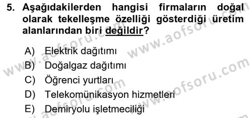 Kamu Maliyesi Dersi 2020 - 2021 Yılı Yaz Okulu Sınav Soruları 5. Soru