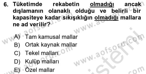 Kamu Maliyesi Dersi 2020 - 2021 Yılı Yaz Okulu Sınav Soruları 6. Soru