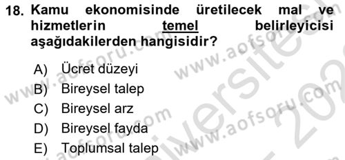 Kamu Maliyesi Dersi Ara Sınavı Deneme Sınav Soruları 18. Soru